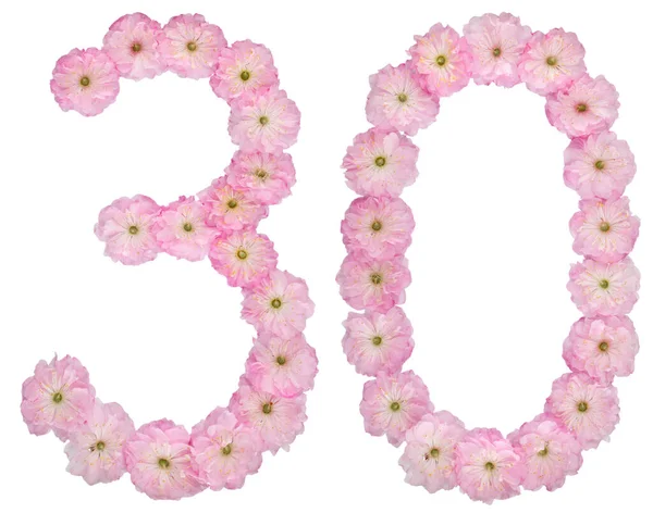 Numeral Thirty Natural Pink Flowers Almond Tree Isolated White Background — Stock Photo, Image