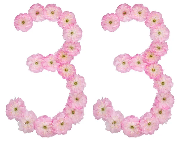 Numeral Thirty Three Natural Pink Flowers Almond Tree Isolated White — Stock Photo, Image