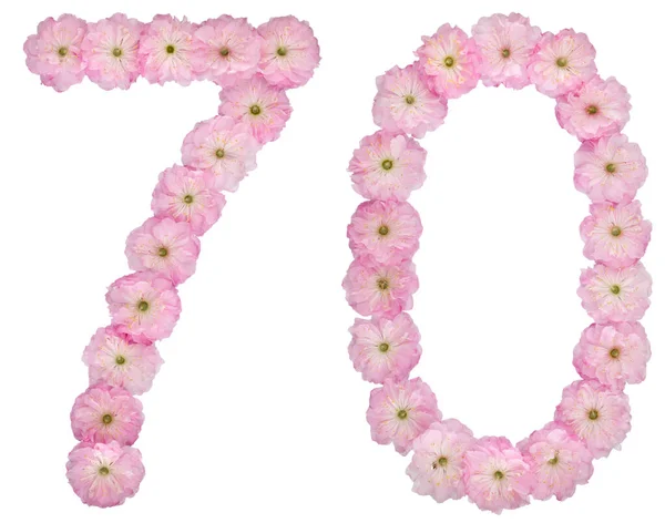 Nummer Zeventig Van Natuurlijke Roze Bloemen Van Amandelboom Geïsoleerd Witte — Stockfoto