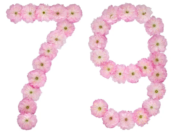 79番 79番 アーモンドの木の天然ピンクの花から 白い背景に隔離された — ストック写真