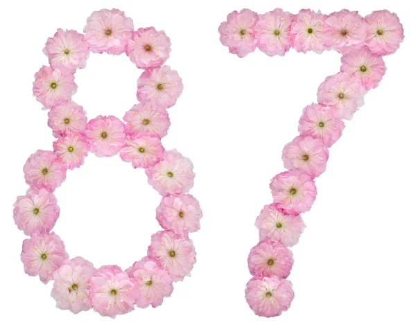 Число Вісімдесят Сім Натуральних Рожевих Квітів Мигдалевого Дерева Ізольовані Білому — стокове фото