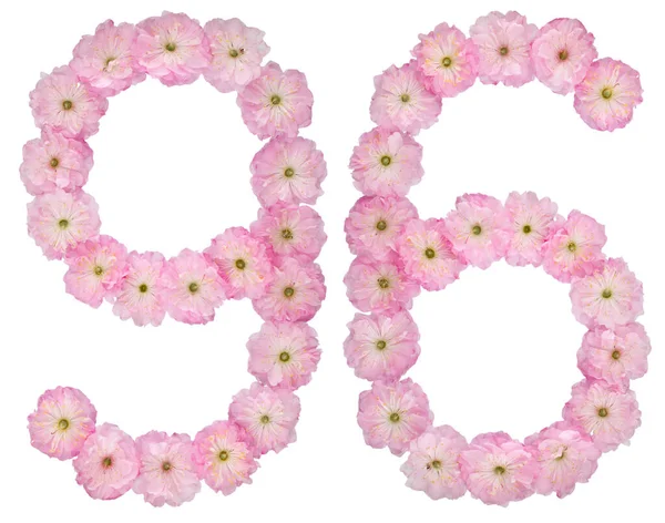 Numeral Noventa Seis Flores Rosa Naturais Amendoeira Isolado Sobre Fundo — Fotografia de Stock