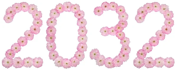 Inscriptie 2032 Van Natuurlijke Roze Bloemen Van Amandelboom Geïsoleerd Witte — Stockfoto