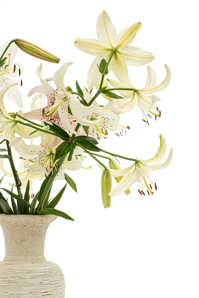 Bouquet Lily Flower Isolated White Background — Stock Photo, Image