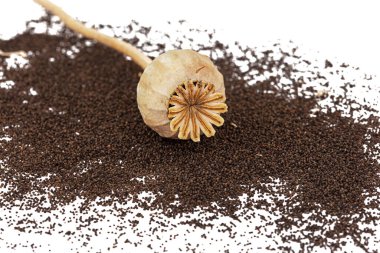 Kurutulmuş haşhaş kutusu ve dökülen tohumlar, beyaz arka planda izole edilmiş.