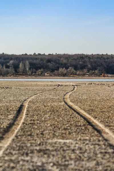 El camino a lo largo del fondo del lago seco —  Fotos de Stock