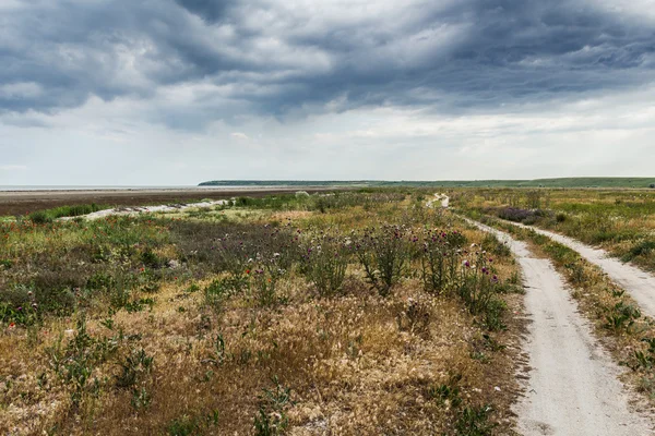 La strada delle steppe verso il mare — Foto Stock