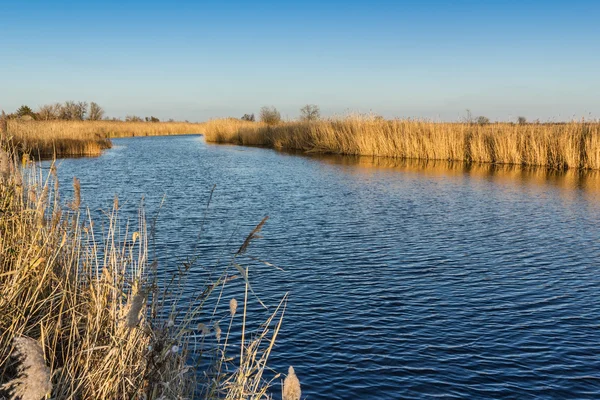 Un hermoso paisaje fluvial de antes del atardecer —  Fotos de Stock