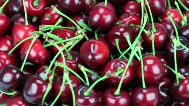 Fresh, ripe, juicy cherries. Rotate of clockwise. Loopable. HD 1080 — Stock Video