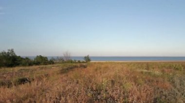 Günbatımı üzerinde süt firth