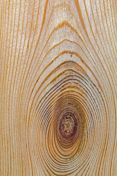Textura de madeira com padrão natural — Fotografia de Stock