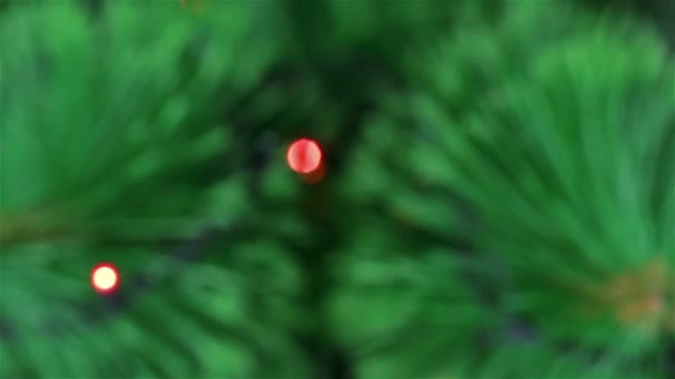 焦点が合っていないクリスマス パイン ツリーの点灯します。カラフルなガーランド ライトは、背景に輝いています。赤、青、および黄色の電気照明のオン/オフ — ストック動画