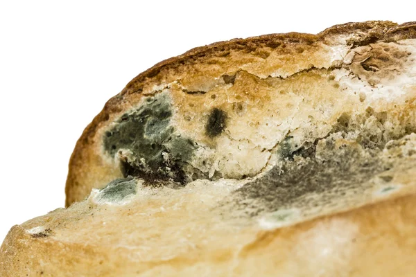 Beschimmeld brood close-up, geïsoleerde op witte achtergrond — Stockfoto