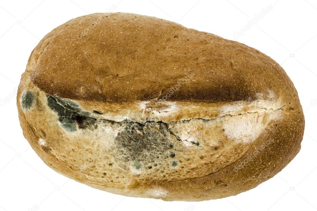 Moldy  bread, isolated on white background