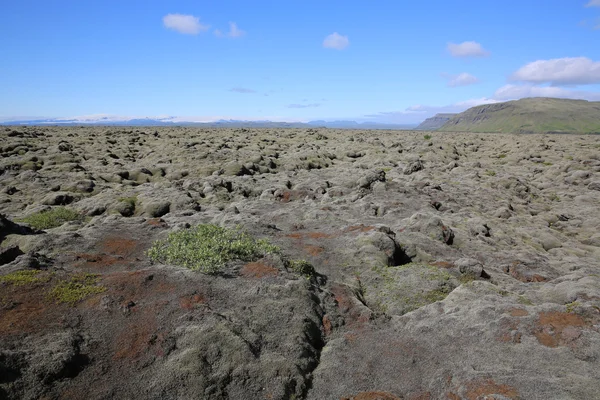 Lava Plain. Iceland — Stock Photo, Image