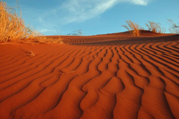 Wydmy w Sossusvlei — Zdjęcie stockowe