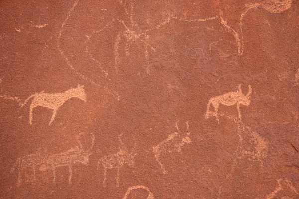 Bushmen Rock Engravings — Stock Photo, Image