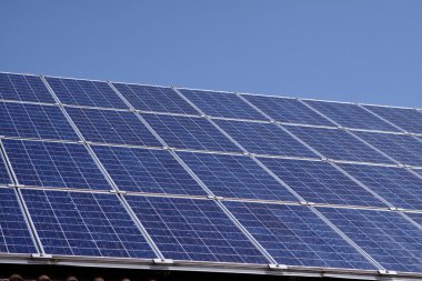 güneş paneli portre