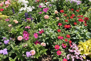 Bahçedeki flowerbed