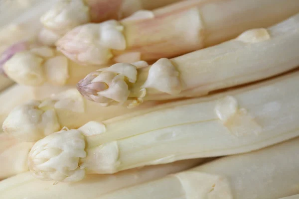 Fresh white Asparagus — Stock Photo, Image