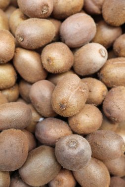 Kivi çiftçilere piyasa üzerinde