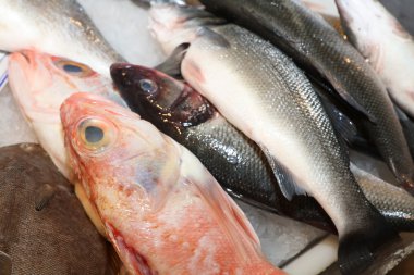 Balık pazarı üzerinde 