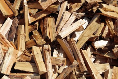 Lech Vadisi'nde yakacak odun