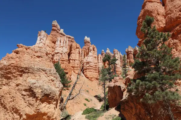 Skalní Formace Národním Parku Bryce Canyon Utahu Usa — Stock fotografie