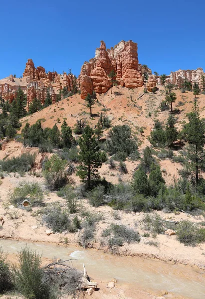 Skalní Formace Národním Parku Bryce Canyon Utahu Usa — Stock fotografie