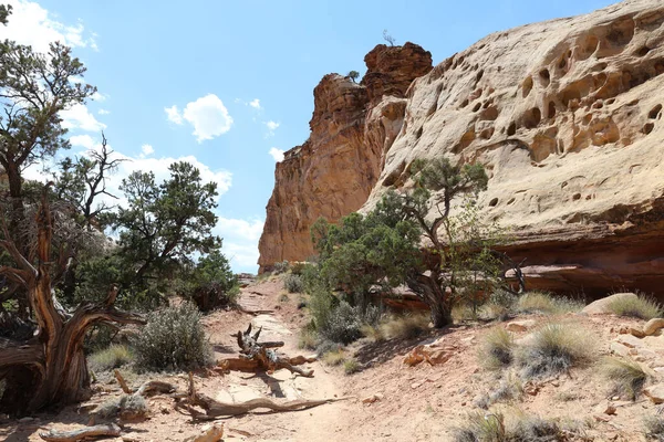 Rockformation Capitol Reef National Park Utah United States — Stock Photo, Image