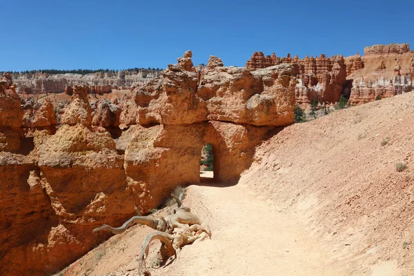 Kőképződés Bryce Canyon Nemzeti Parkban Utah Ban Egyesült Államok — Stock Fotó