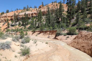 Bryce Canyon Ulusal Parkı 'nda kaya oluşumu. Utah. ABD