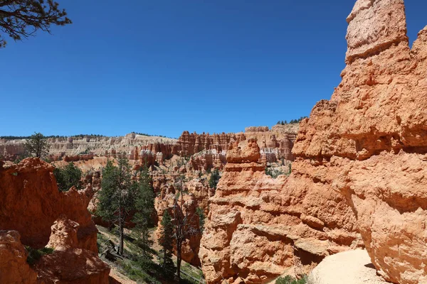 Formación Rock Parque Nacional Bryce Canyon Utah Estados Unidos — Foto de Stock