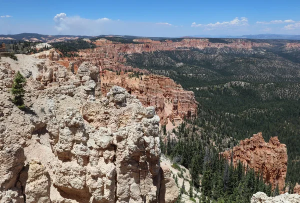 Kőképződés Bryce Canyon Nemzeti Parkban Utah Ban Egyesült Államok — Stock Fotó