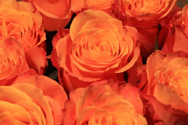 Ein Strauß Wundervoller Orangefarbener Rosen Nahaufnahme — Stockfoto