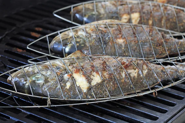 Fresh Sea Bass Barbecue Grill Germany — Stock Photo, Image