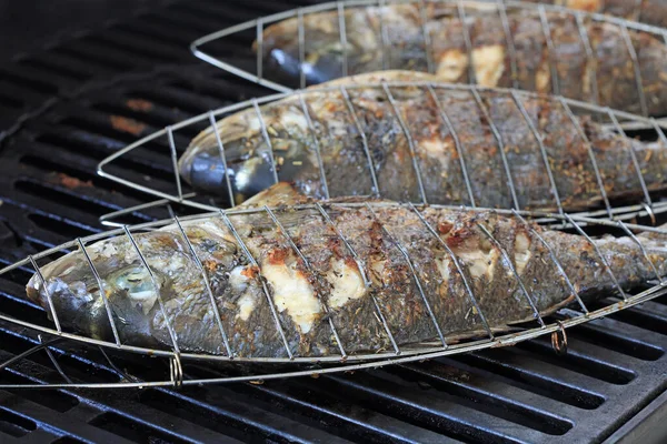 Fresh Sea Bass Churrasqueira Alemanha — Fotografia de Stock