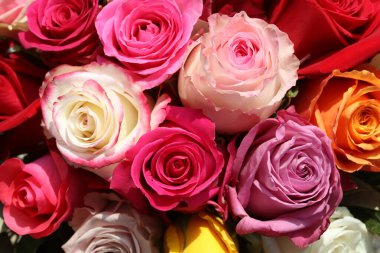 Bir buket farklı renkte gül.