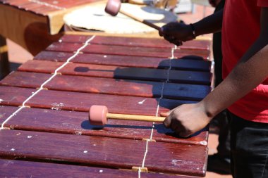 Marimba oyuncu