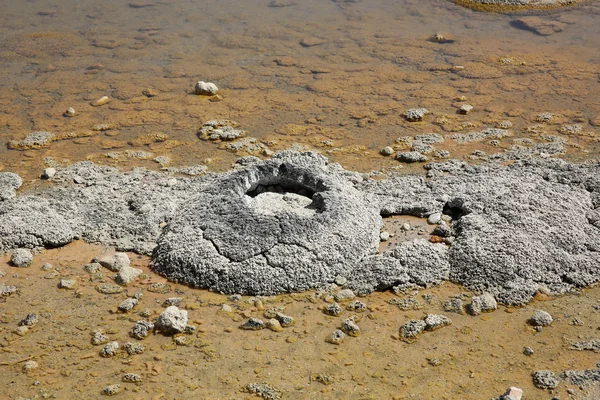 Stromatolites — Stok Foto