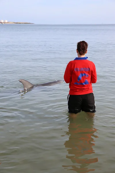 Voluntário com Golfinho — Fotografia de Stock