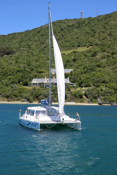 Hoofden Explorer Catamaran daagse Cruises — Stockfoto