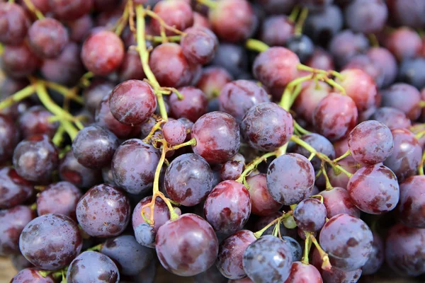 Rote Trauben — Stockfoto