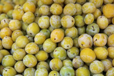 Mirabelles