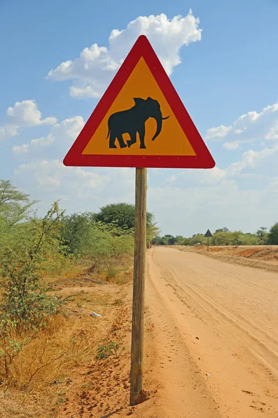 Traversée des animaux — Photo