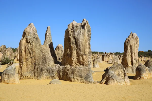 The Pinnacles — Stock Photo, Image