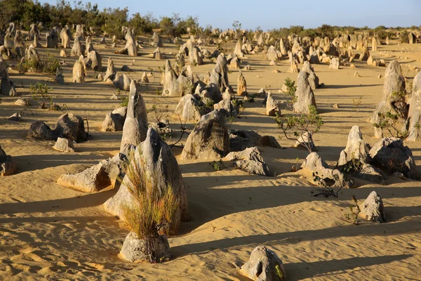 The Pinnacles — Stock Photo, Image