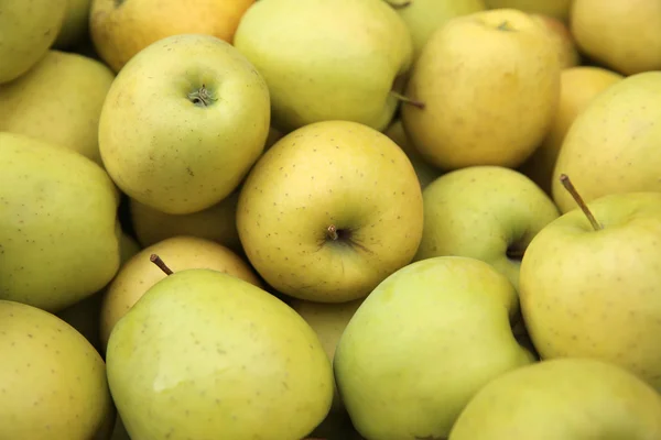 Golden delicious äpplen — Stockfoto