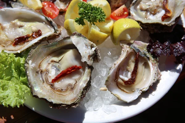 Fresh Oyster — Stock Photo, Image