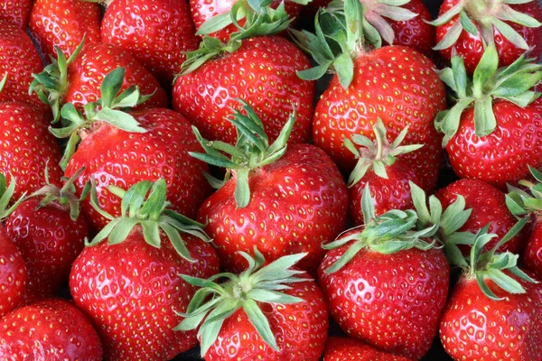 Strawberry Royalty Free Stock Images